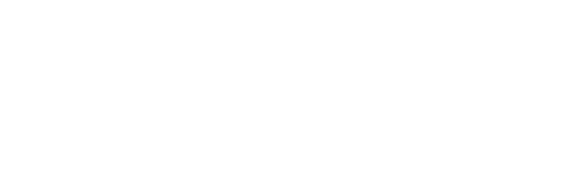 WellBiz Brands, Inc.